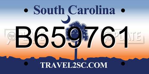 B659761 South Carolina License Plate
