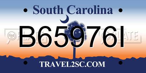 B65976I South Carolina License Plate