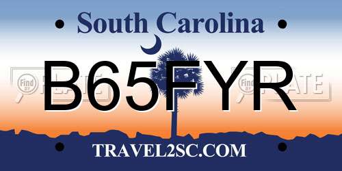 B65FYR South Carolina License Plate