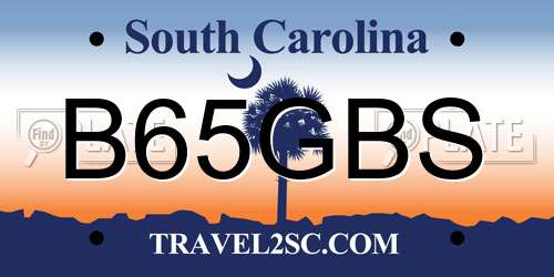 B65GBS South Carolina License Plate