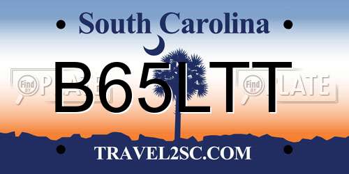 B65LTT South Carolina License Plate