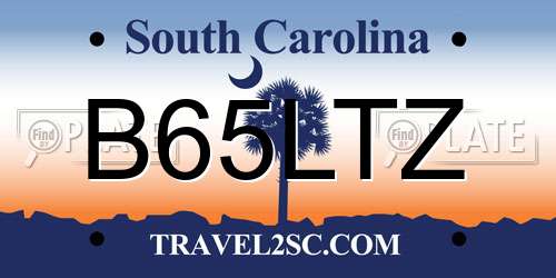 B65LTZ South Carolina License Plate