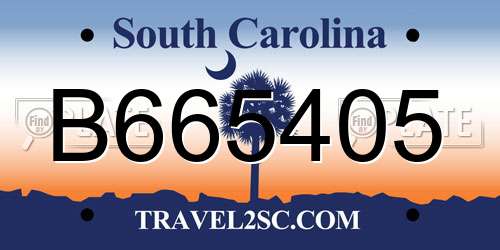 B665405 South Carolina License Plate