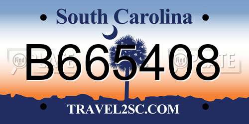 B665408 South Carolina License Plate