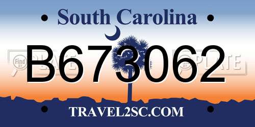 B673062 South Carolina License Plate