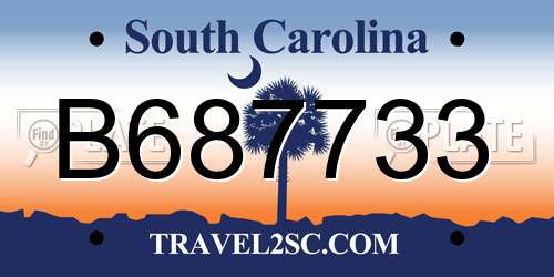 B687733 South Carolina License Plate