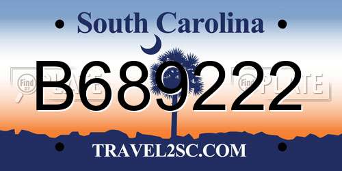 B689222 South Carolina License Plate