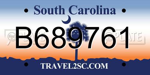 B689761 South Carolina License Plate