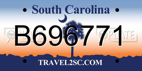 B696771 South Carolina License Plate