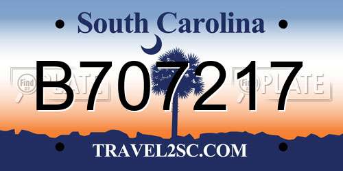 B707217 South Carolina License Plate