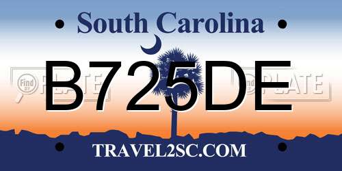 B725DE South Carolina License Plate