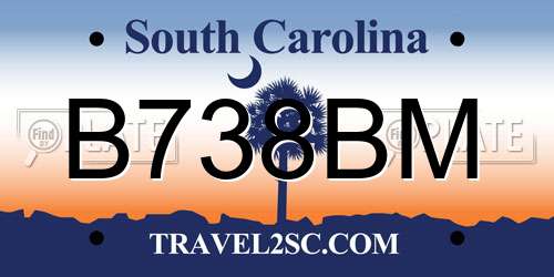B738BM South Carolina License Plate