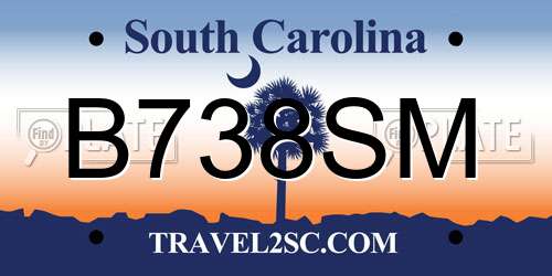 B738SM South Carolina License Plate