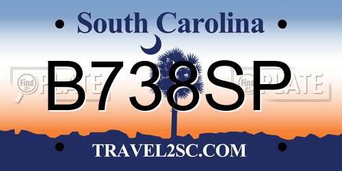 B738SP South Carolina License Plate