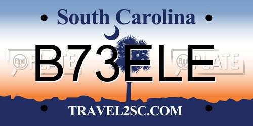 B73ELE South Carolina License Plate