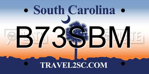 B73SBM South Carolina License Plate