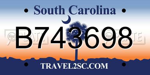 B743698 South Carolina License Plate