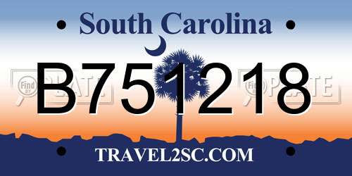 B751218 South Carolina License Plate