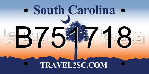 B751718 South Carolina License Plate