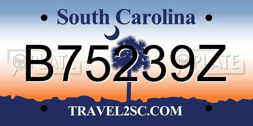B75239Z South Carolina License Plate