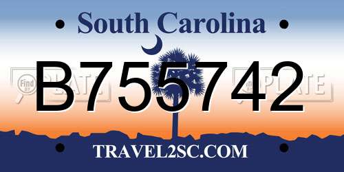 B755742 South Carolina License Plate
