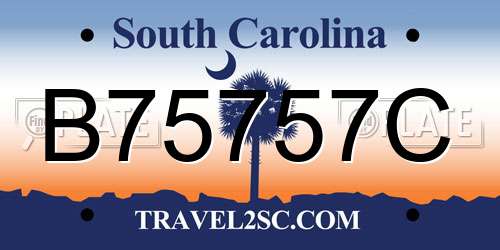 B75757C South Carolina License Plate