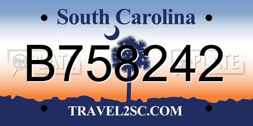 B758242 South Carolina License Plate
