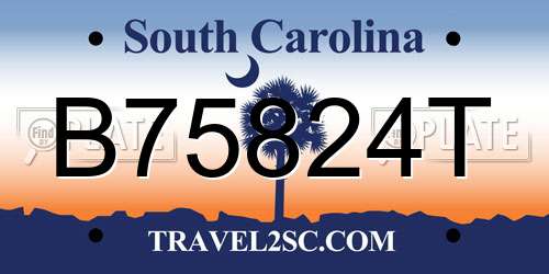 B75824T South Carolina License Plate