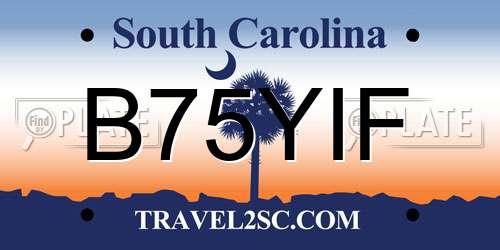 B75YIF South Carolina License Plate