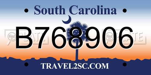 B768906 South Carolina License Plate