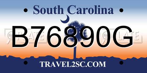 B76890G South Carolina License Plate