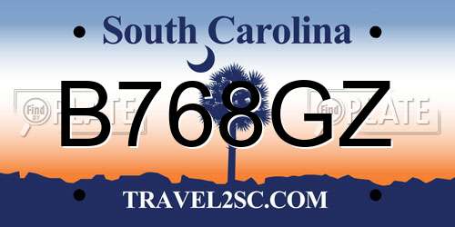 B768GZ South Carolina License Plate