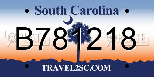 B781218 South Carolina License Plate