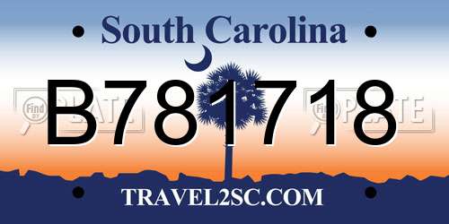 B781718 South Carolina License Plate