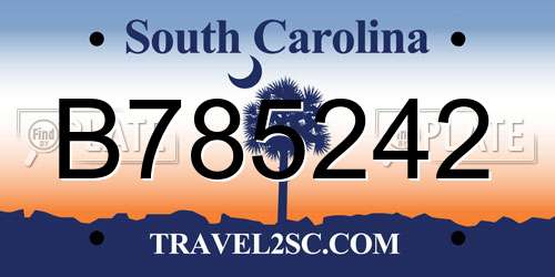B785242 South Carolina License Plate