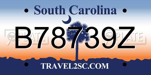 B78739Z South Carolina License Plate