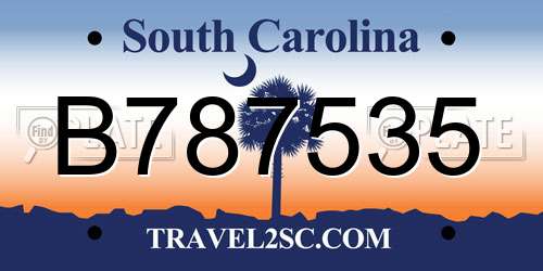 B787535 South Carolina License Plate