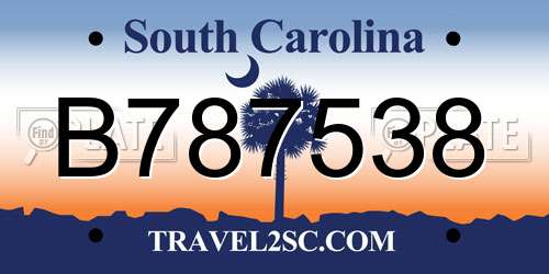 B787538 South Carolina License Plate