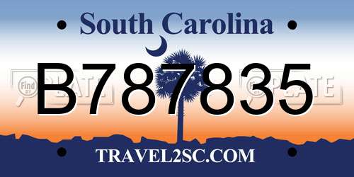 B787835 South Carolina License Plate