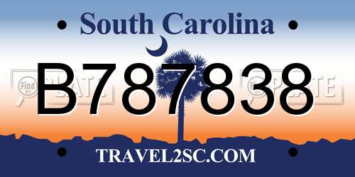 B787838 South Carolina License Plate