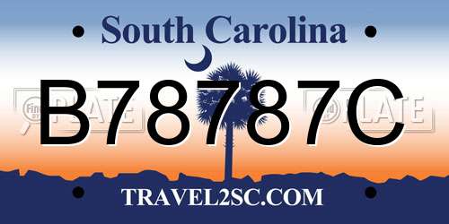 B78787C South Carolina License Plate