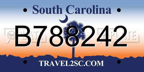 B788242 South Carolina License Plate