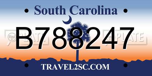 B788247 South Carolina License Plate