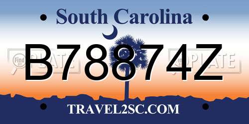B78874Z South Carolina License Plate