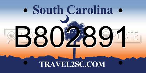 B802891 South Carolina License Plate