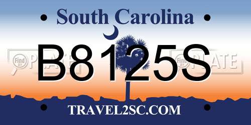B8125S South Carolina License Plate