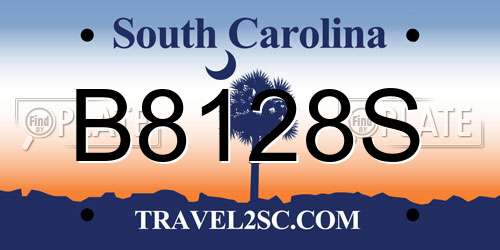 B8128S South Carolina License Plate