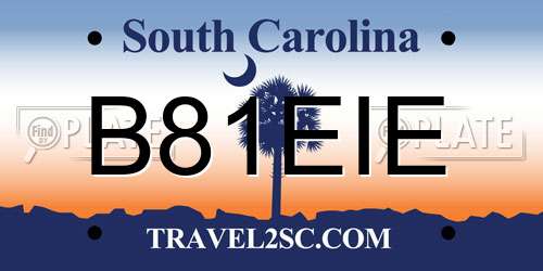 B81EIE South Carolina License Plate