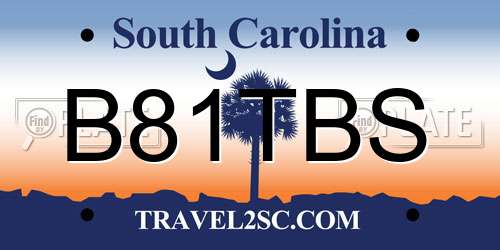 B81TBS South Carolina License Plate