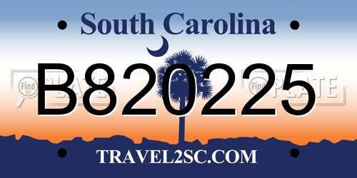 B820225 South Carolina License Plate